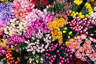 育碧前开发者：《消逝的光芒2》故意让AMD FSR看起来糟糕