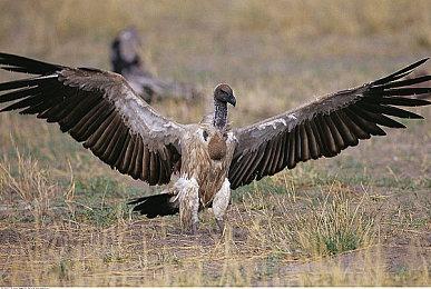 《Moon Keys》Steam抢先体验 3D动作冒险